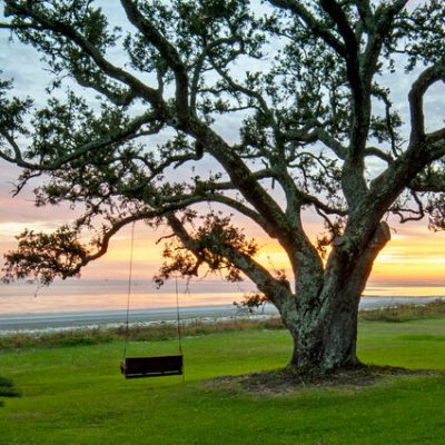 Swingin at Sunset on the Mississippi Gulf Coast